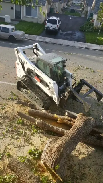 2014 Bobcat T870 track loader with grapple over cut logs
