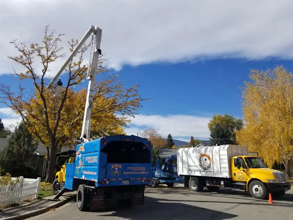Boom truck with bucket up and yellow chip truck working on a residential street, fall colour