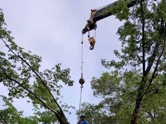 Crane hook and ball over green canopy, worker below