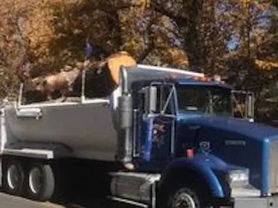 Blue Kenworth dump truck with log rounds, fall colour