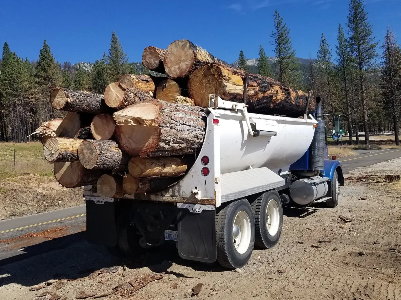 Blue-cab dump truck loaded high with logs, pine forest behind