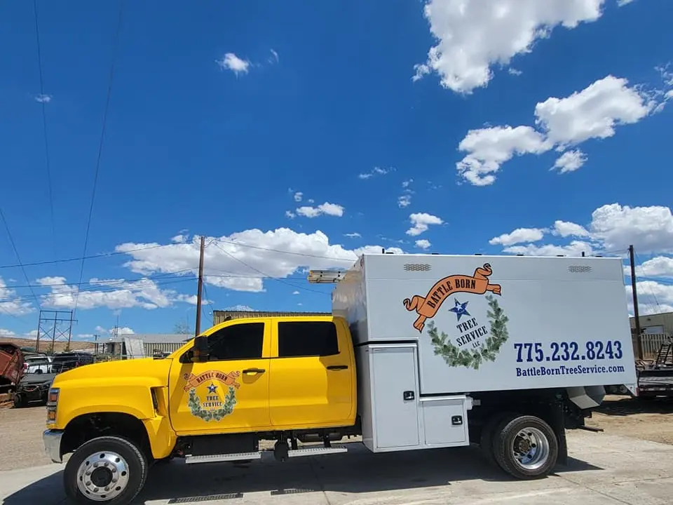 Yellow crew-cab chip truck with the ribbon-banner livery, 775.232.8243 and BattleBornTreeService.com on the box