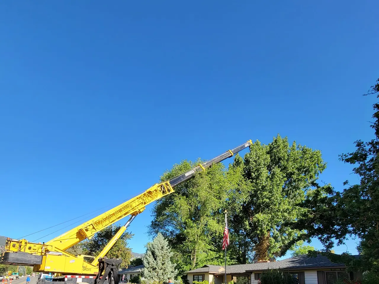 Yellow crane set up at a large leafy tree in a neighbourhood