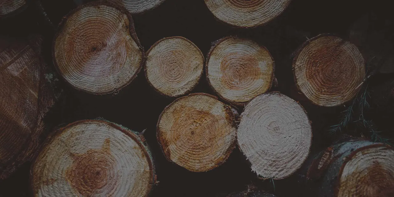 Stacked cut log ends showing growth rings