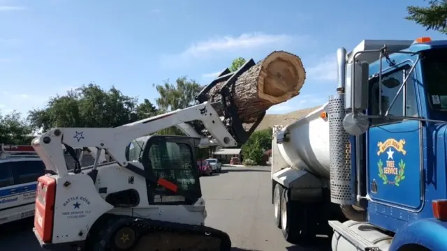Bobcat with grapple lifting a log round into the blue Battle Born dump truck
