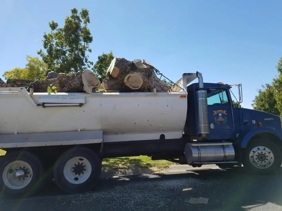 Blue Kenworth dump truck loaded with large log rounds