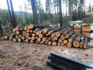 buy-firewood-300x225