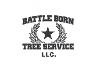Battle Born Logo